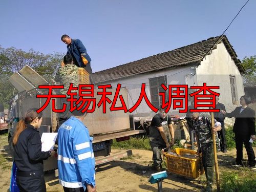 无锡私人调查