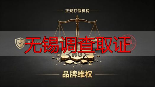 无锡调查取证