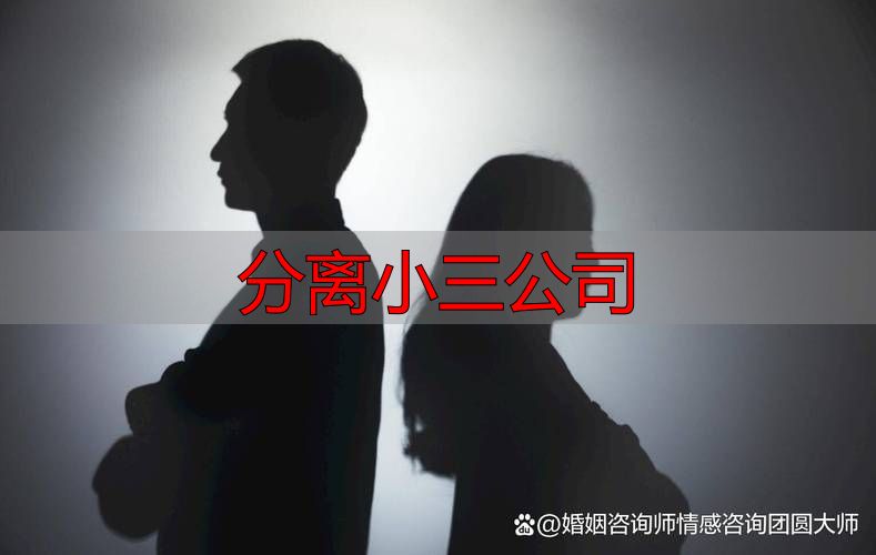 分离小三公司
