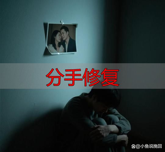 分手修复