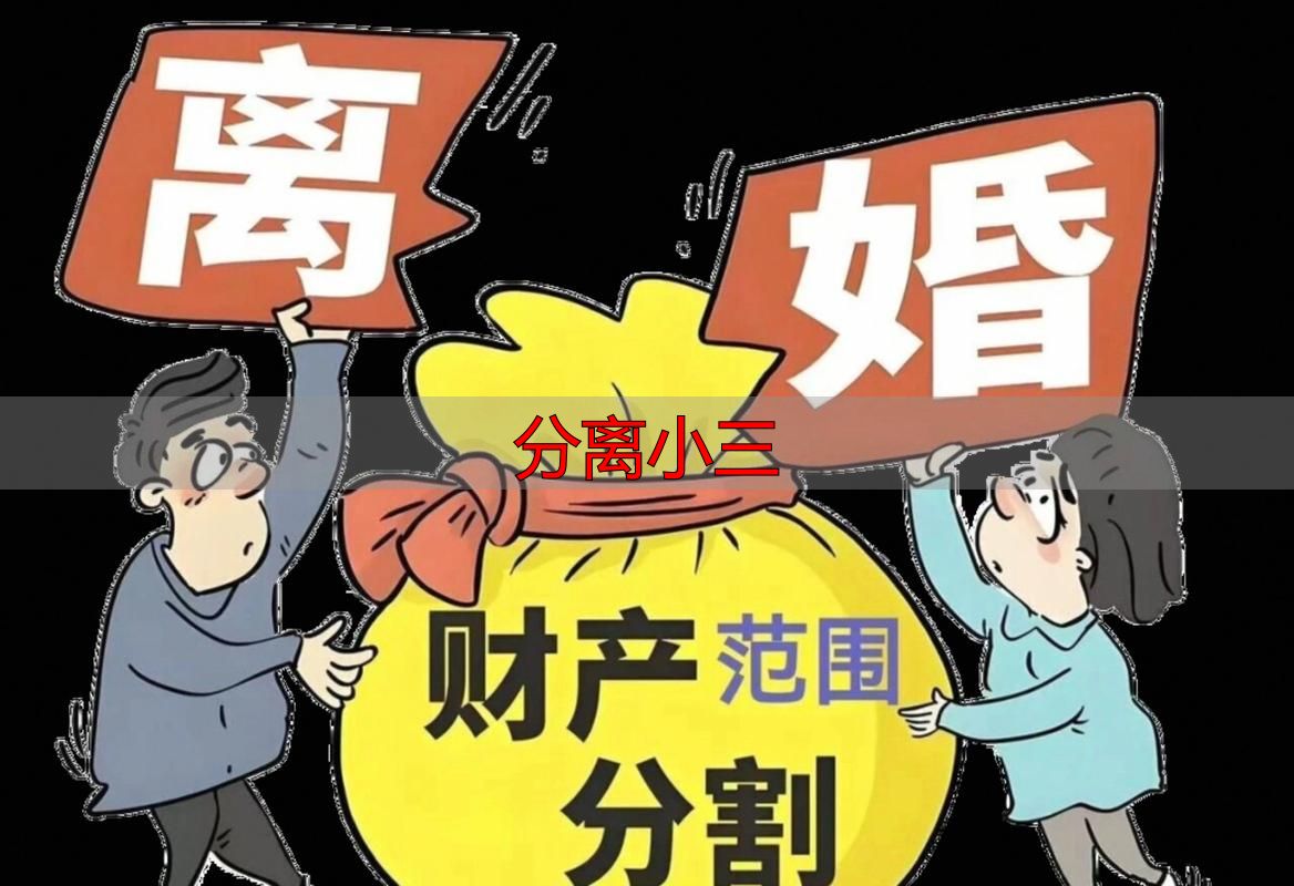分离小三