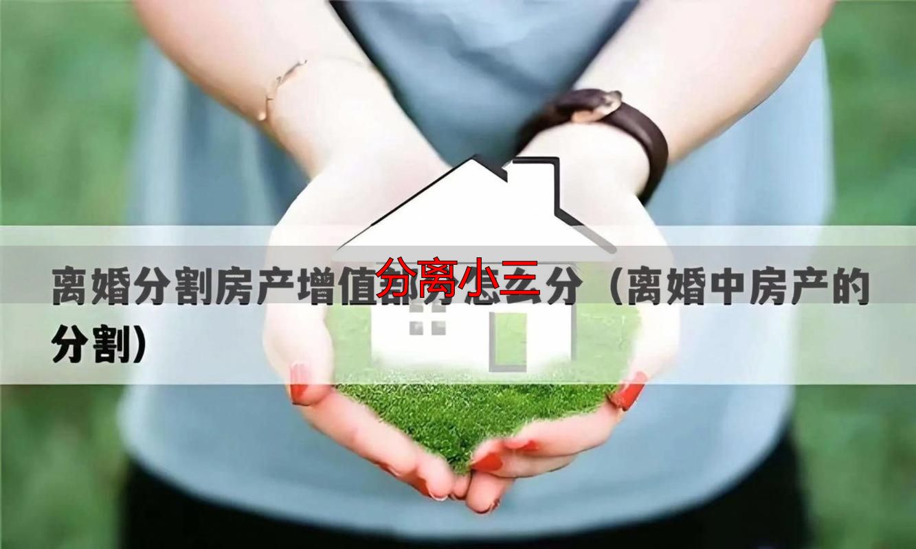 分离小三