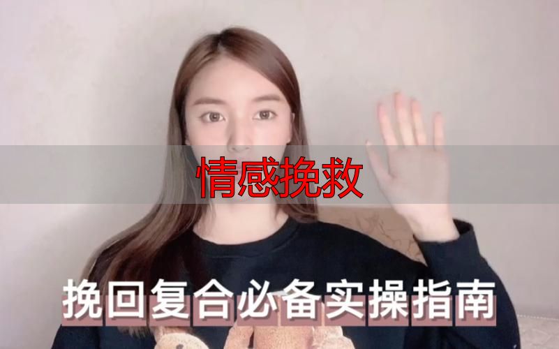 情感挽救